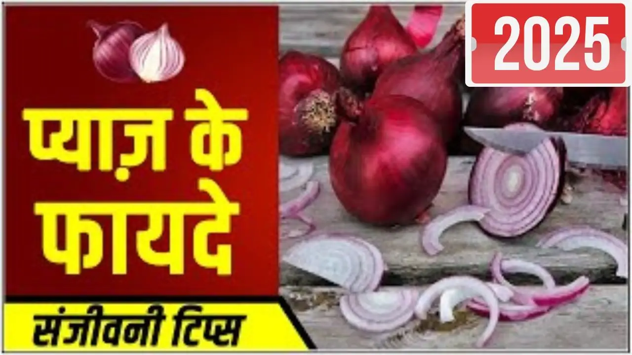 Red Onions